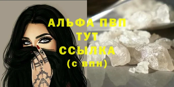 шишки Арсеньев