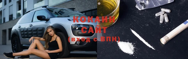 шишки Арсеньев