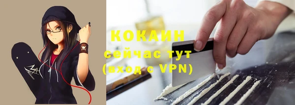 шишки Арсеньев