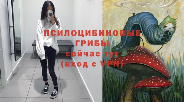 дурь Армянск