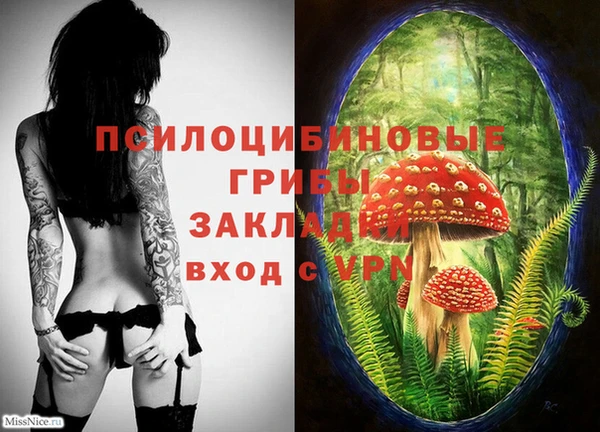 шишки Арсеньев