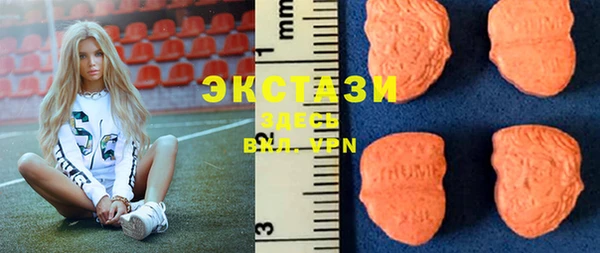 шишки Арсеньев