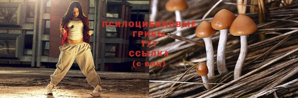 шишки Арсеньев