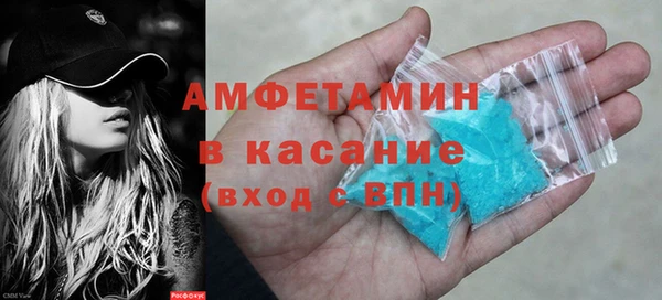 шишки Арсеньев