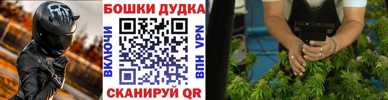 Бошки марихуана план  цены наркотик  Талдом 